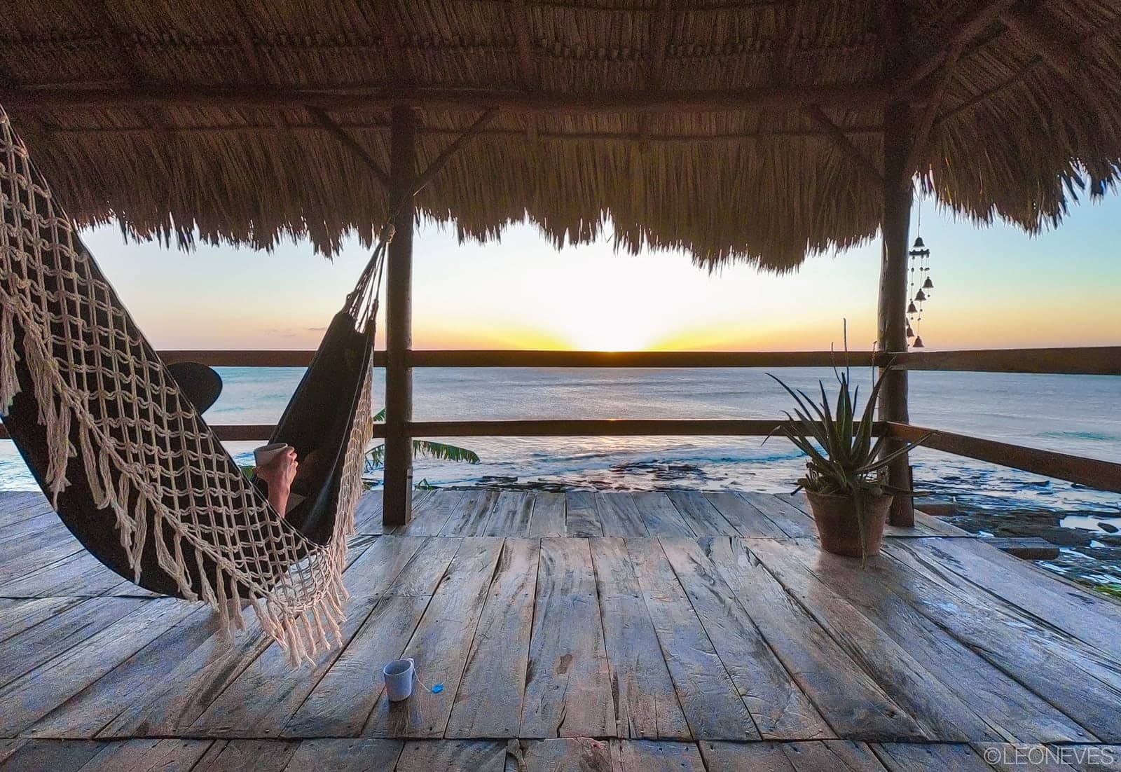 Hammock hangout