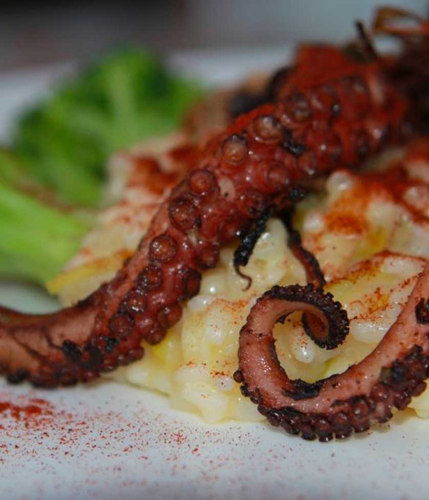 Pratos do restaurante do Miramar Surfcamp
