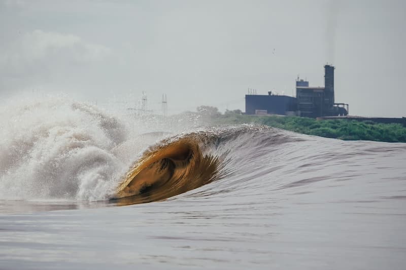 A Celebration of Surf Photography with Daniel Avila at Miramar SurfCamp