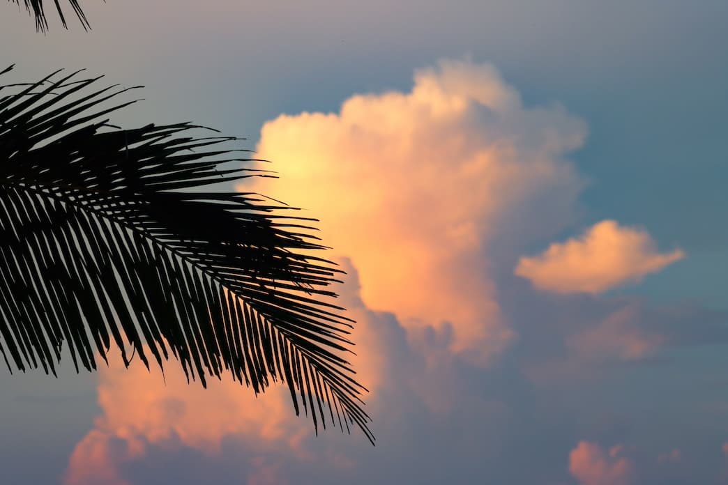 Surfing Puerto Sandino – A Must-Experience Wave in Nicaragua