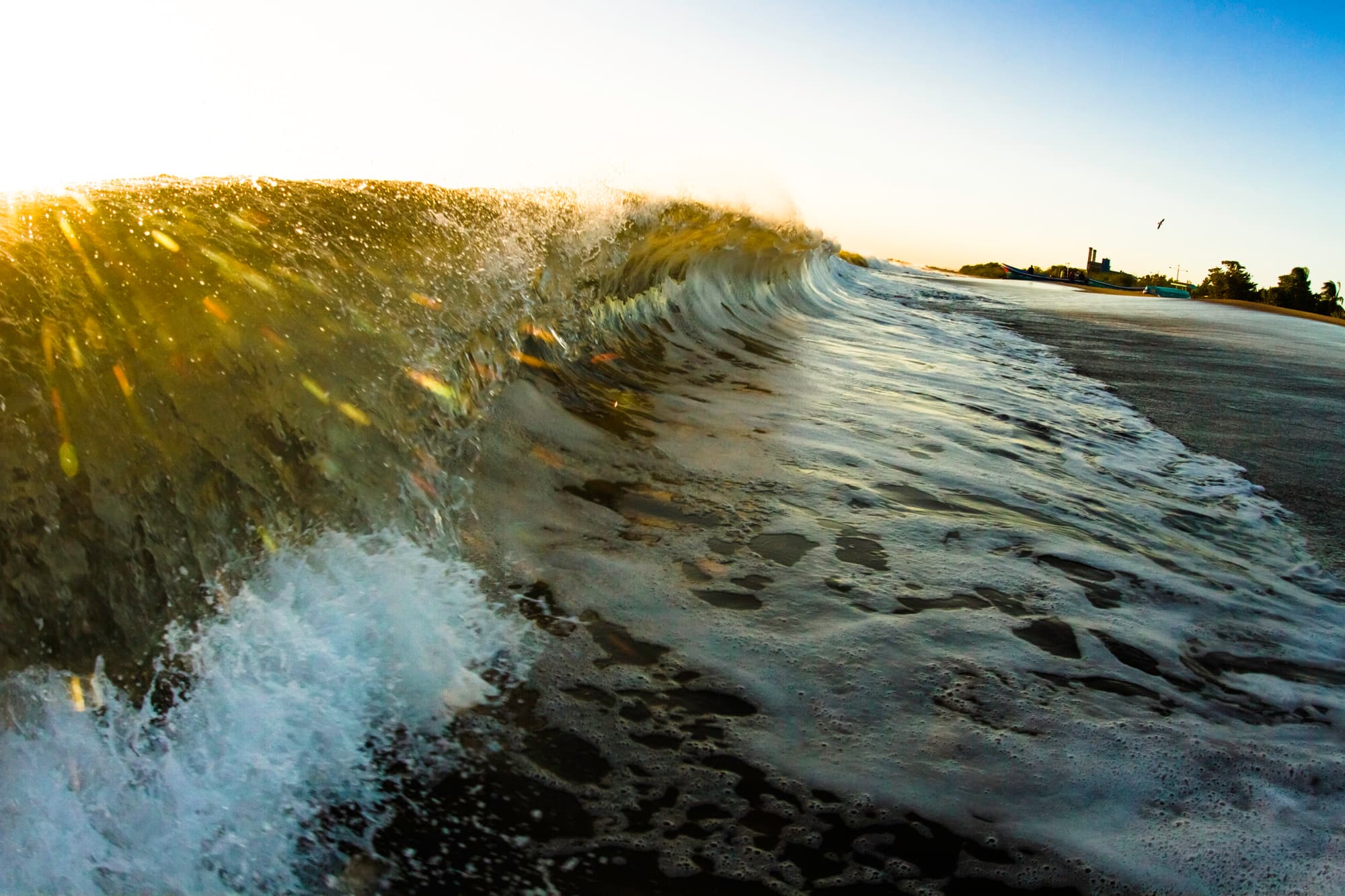 Surfing a lot and no crowd