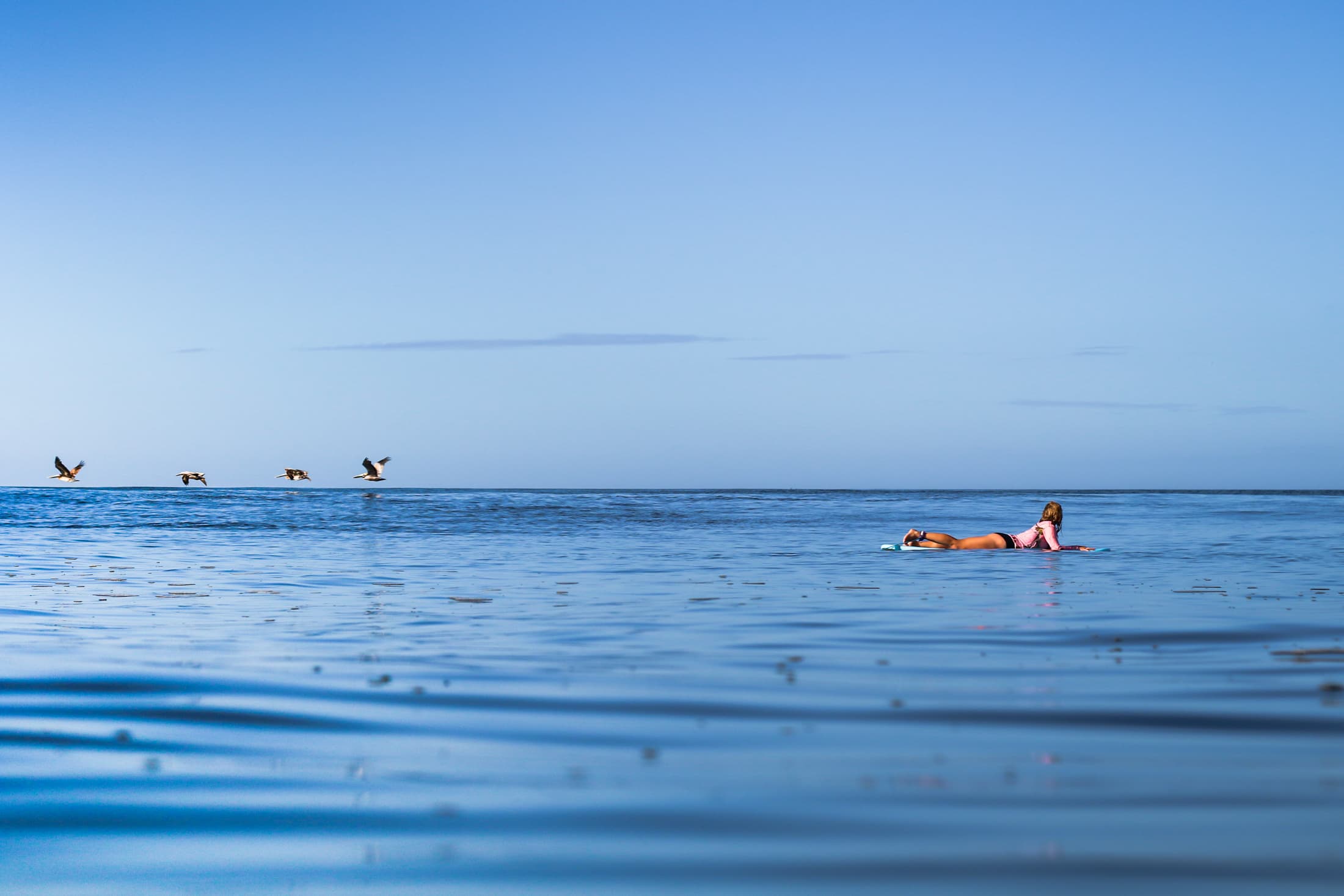 What is surf culture?